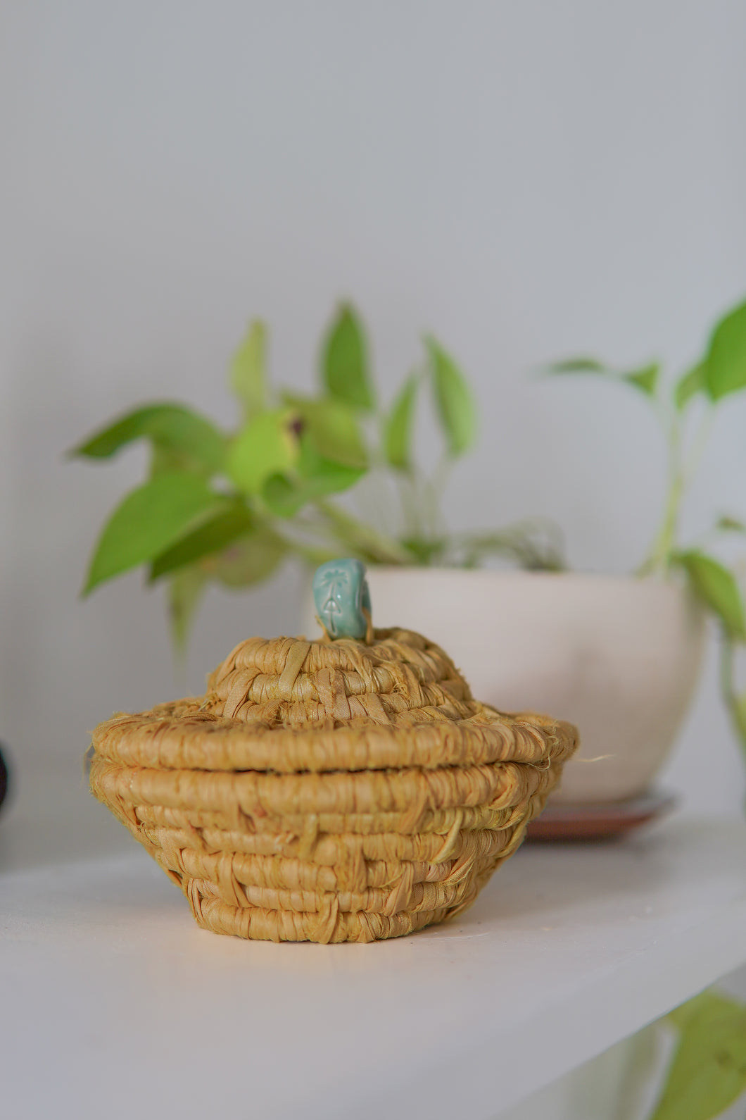 Handwoven Lidded Basket | Sari Silk