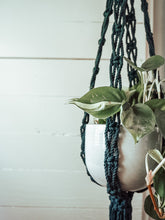 Load image into Gallery viewer, The Lianas Plant Hanger | Forest + White Loop
