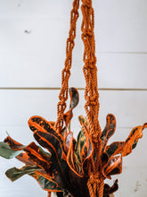 Load image into Gallery viewer, The Lianas Plant Hanger | Copper + THrō Ceramics beads
