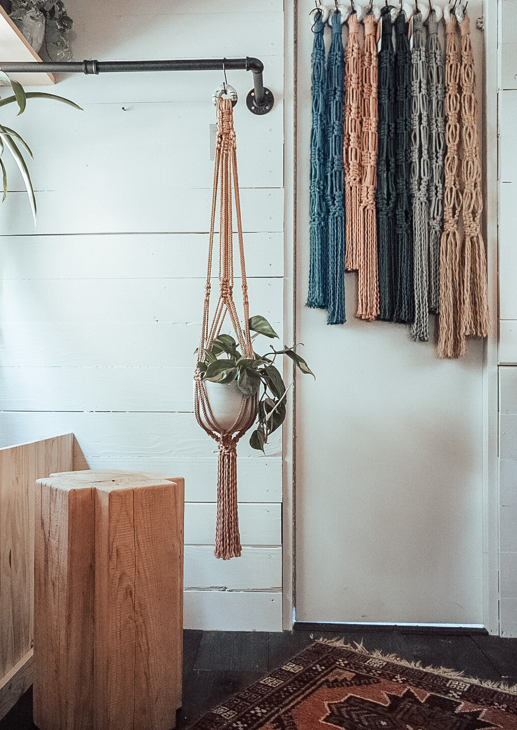 The Never Ending Plant Hanger | Blush + Grayscale Ceramic Loop
