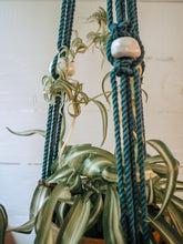 Load image into Gallery viewer, Trellis Plant Hanger | Ocean + THrō Ceramics beads

