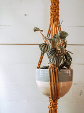 Load image into Gallery viewer, The Trellis Plant Hanger | Mustard + THrō Ceramics beads
