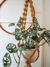 Load image into Gallery viewer, Spiral Knot Plant Hanger | Jute + Tiedye Ceramic Loop
