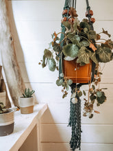 Load image into Gallery viewer, Trellis Plant Hanger | Forest + THrō Ceramics beads

